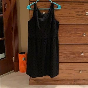 Loft black dotted dress